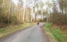 Emma Chantelle in Newborough Forest in 2018